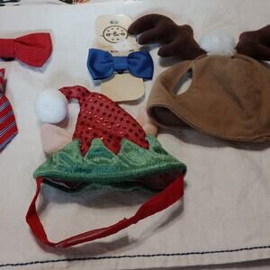 Cat Accessories set of five